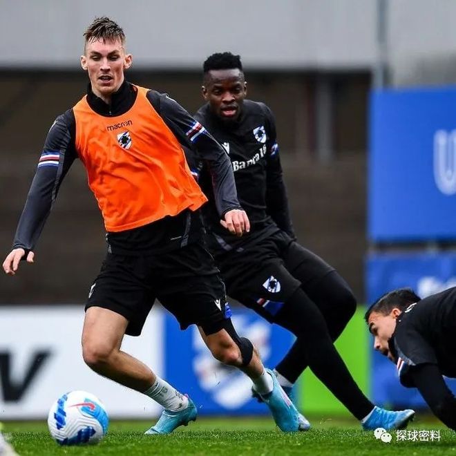 博洛尼亚 巴罗 博洛尼亚 巴罗